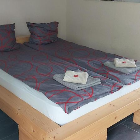 Hotel Belp Bern Airport Free Parking Экстерьер фото