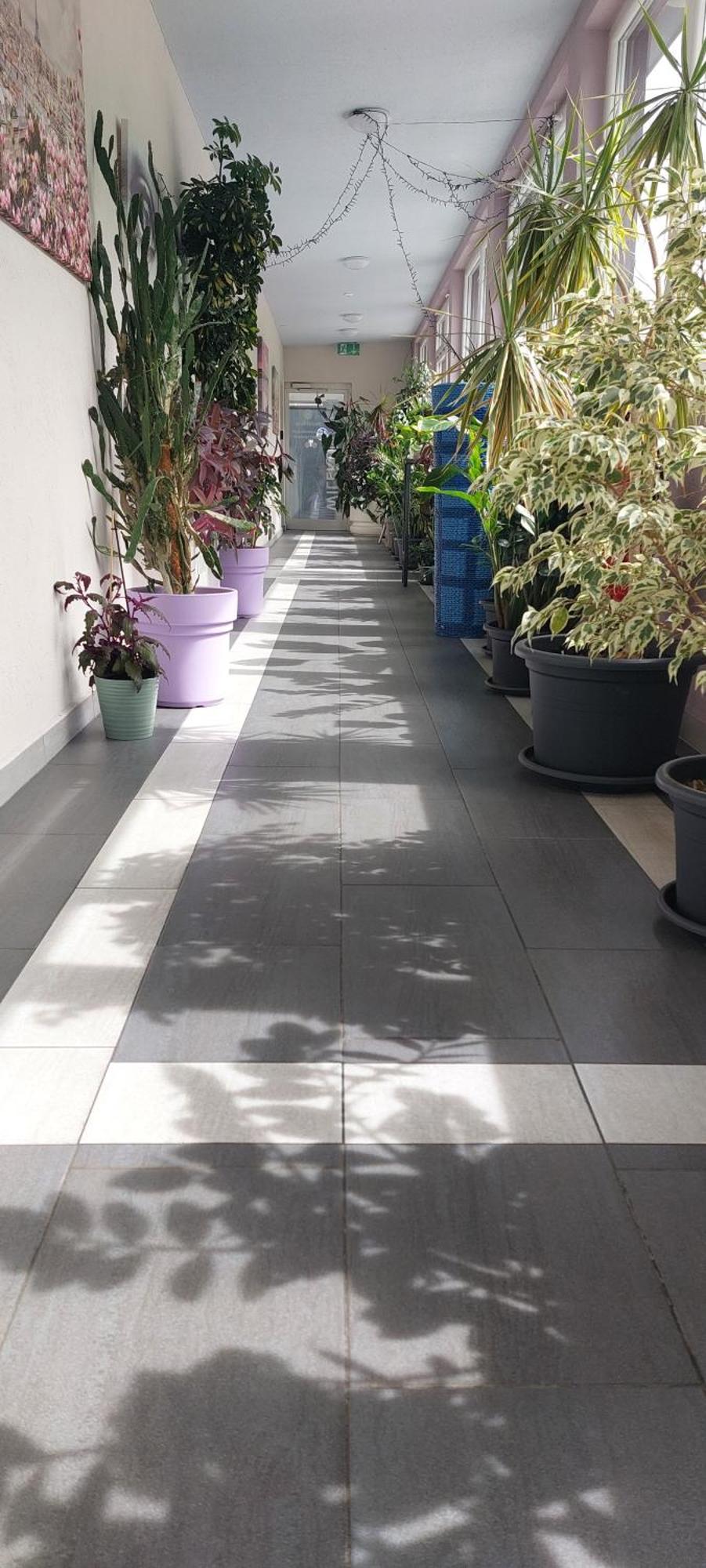Hotel Belp Bern Airport Free Parking Экстерьер фото
