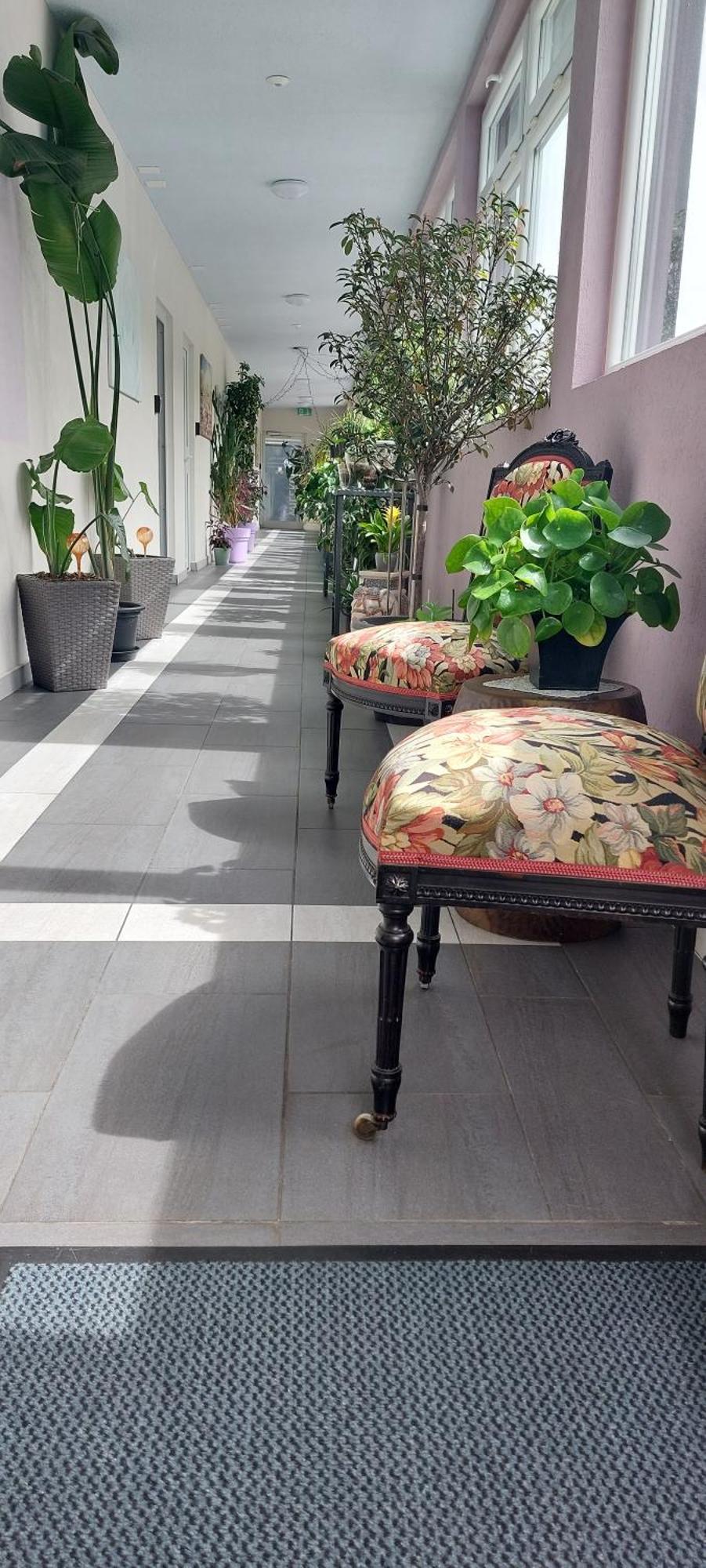 Hotel Belp Bern Airport Free Parking Экстерьер фото